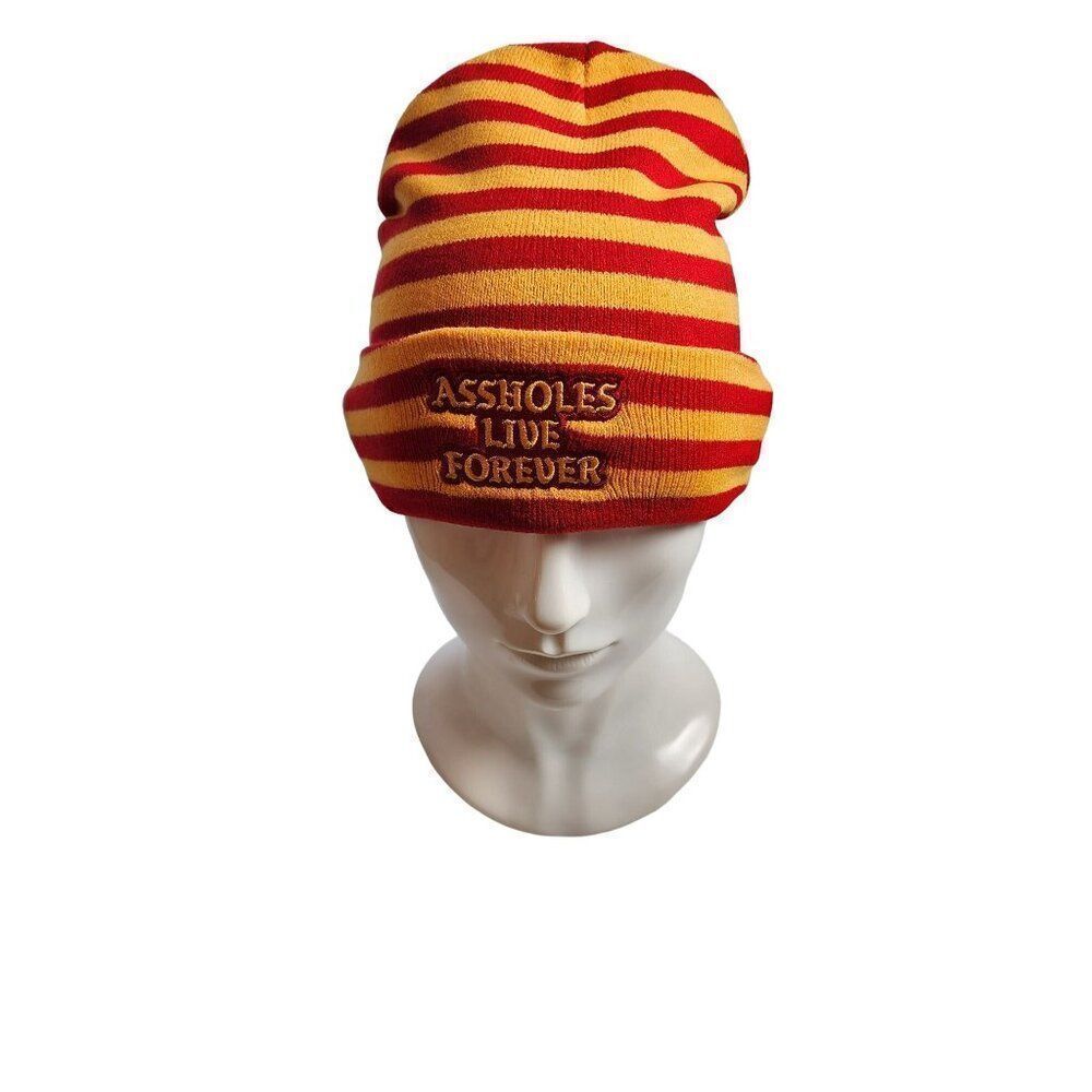 Linda Finegold Assholes Live Forever Striped Winter Cap, NEW, One Size